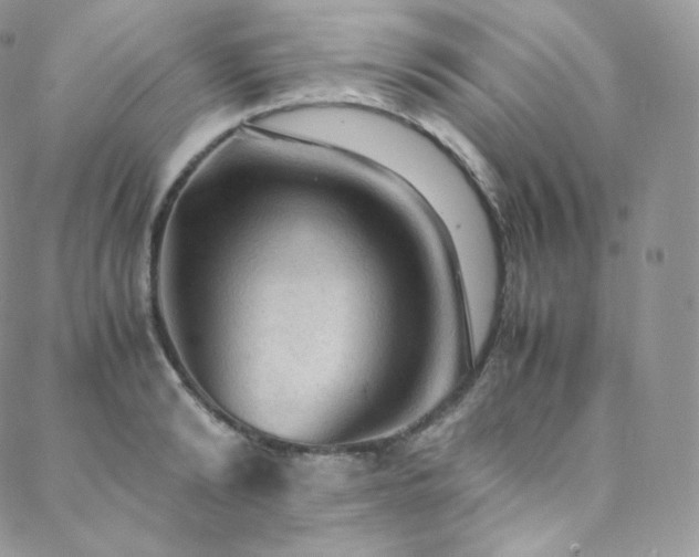 X0000088600894200705251211