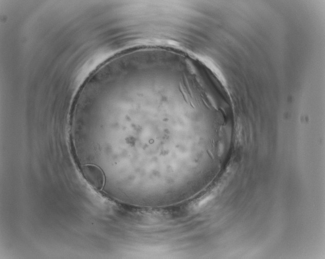 X0000088600895200705251211