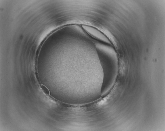 X0000088600896200705251211