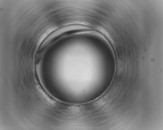 X0000088600898200705251211