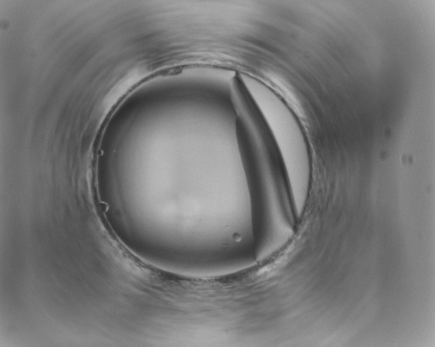 X0000088600899200705251211