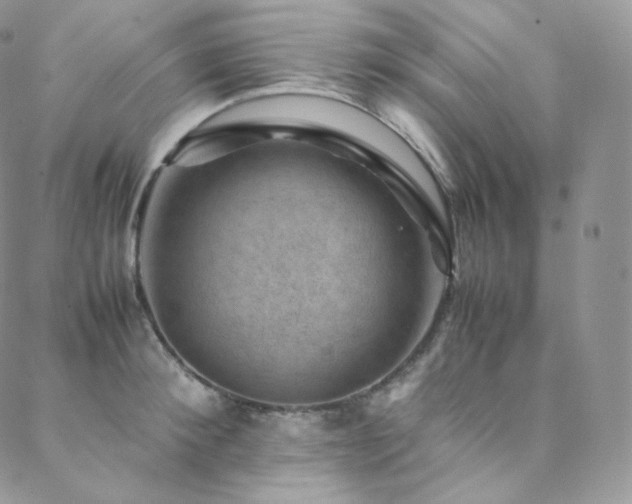 X0000088600900200705251211