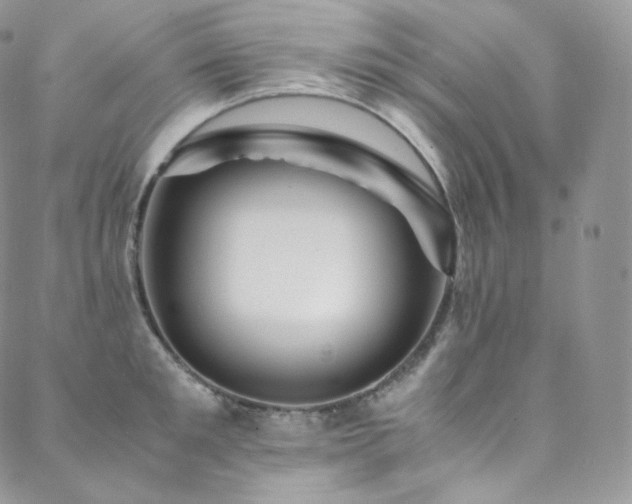 X0000088600901200705251211