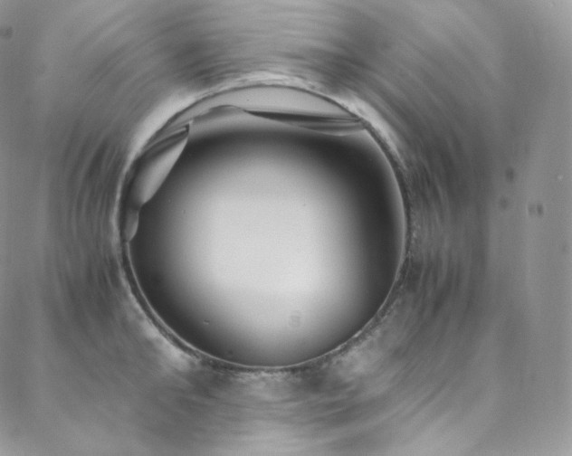 X0000088600902200705251211