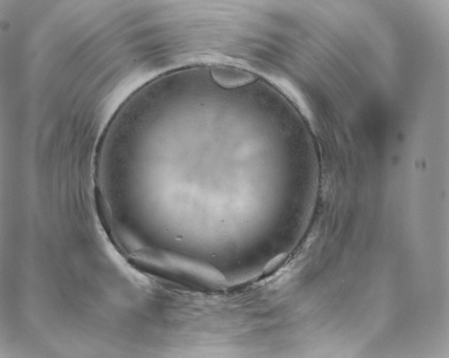 X0000088600903200705251211