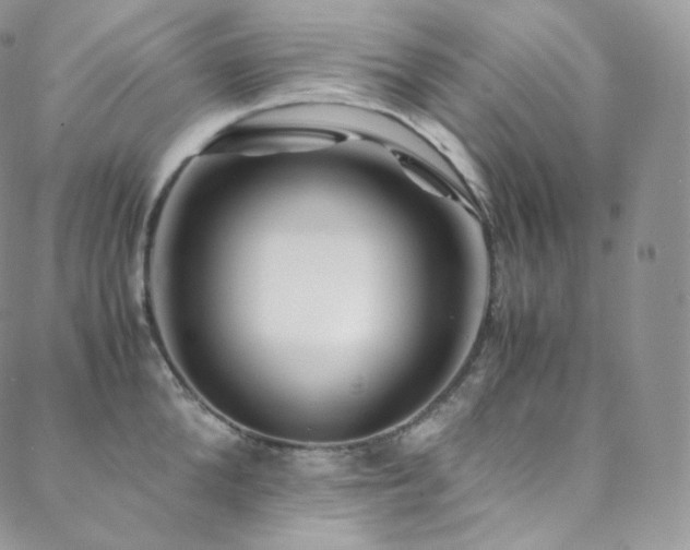 X0000088600904200705251211