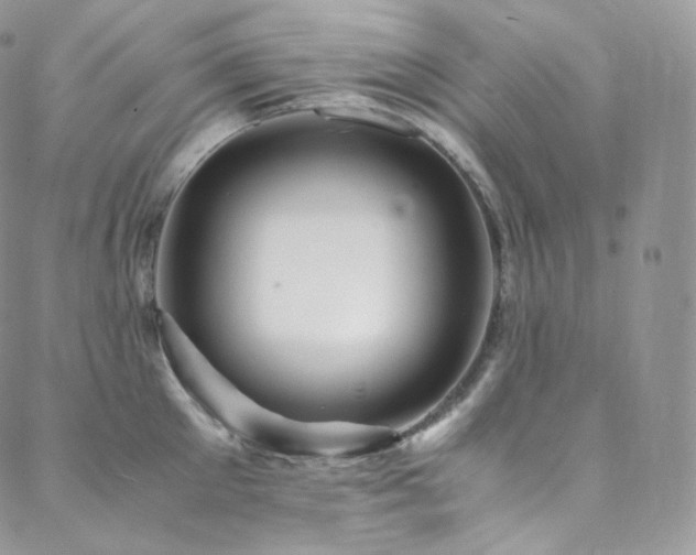 X0000088600905200705251211