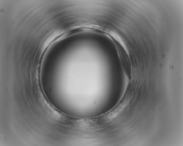 X0000088600906200705251211