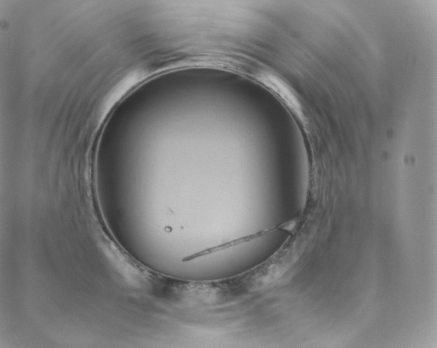 X0000088600907200705251211