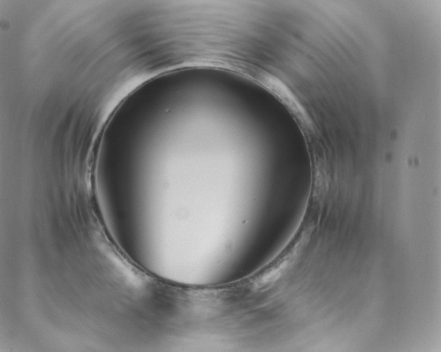 X0000088600908200705251211