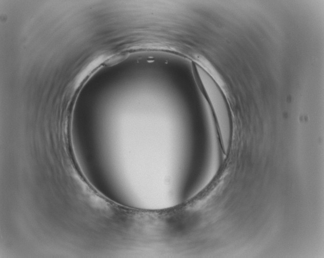 X0000088600909200705251211