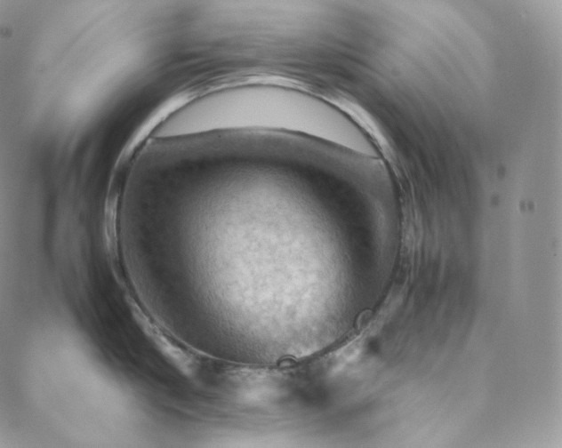 X0000088600910200705251211