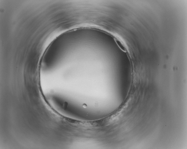 X0000088600911200705251211