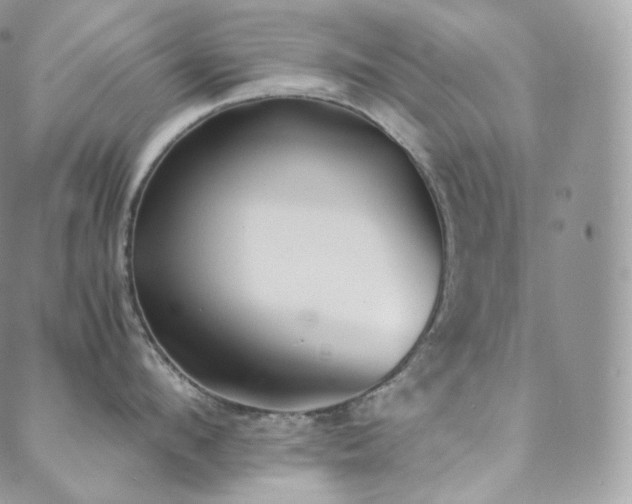 X0000088600912200705251211