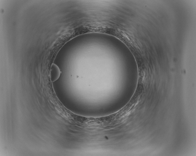 X0000088600913200705251210