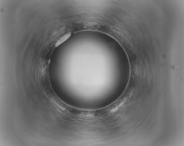 X0000088600914200705251210