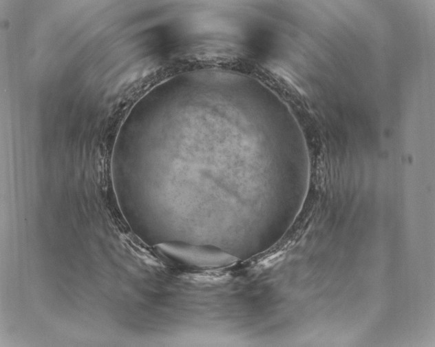 X0000088600917200705251210