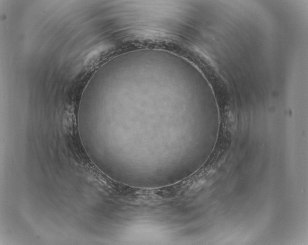 X0000088600918200705251210