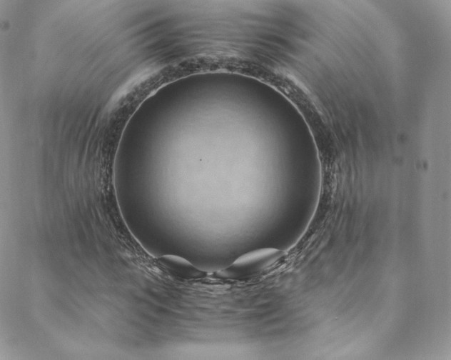 X0000088600919200705251210