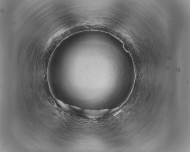 X0000088600920200705251210