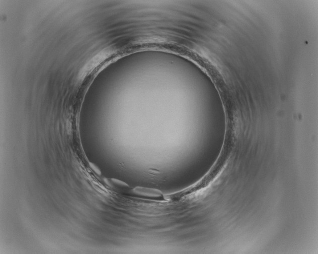 X0000088600921200705251210