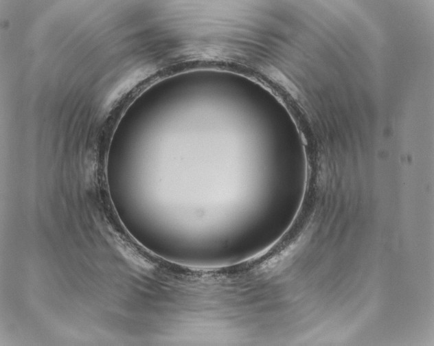 X0000088600922200705251210