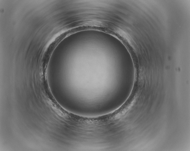 X0000088600923200705251210