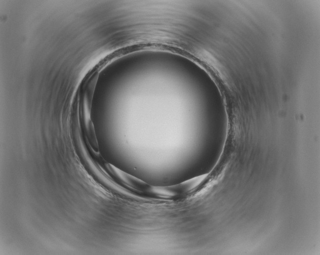 X0000088600924200705251210