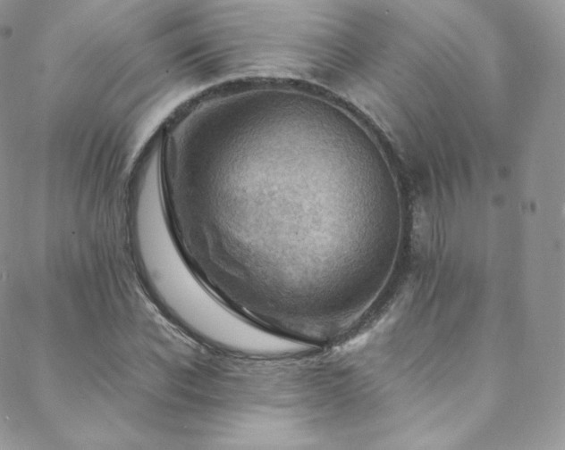 X0000088600926200705251210