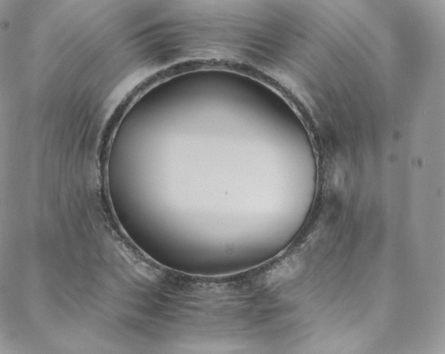 X0000088600927200705251210