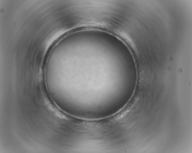 X0000088600928200705251210