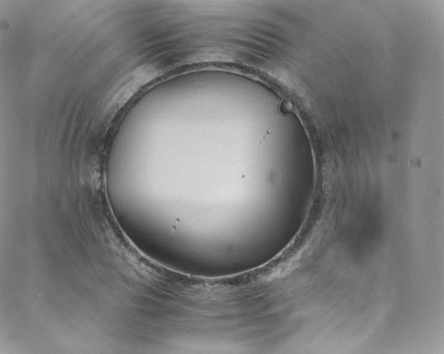 X0000088600929200705251210