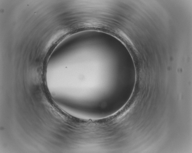 X0000088600930200705251210