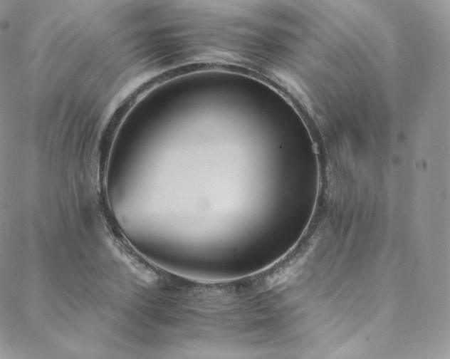 X0000088600931200705251210