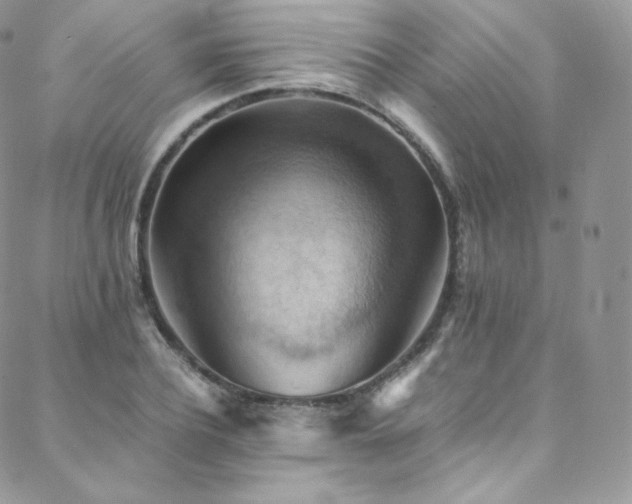 X0000088600932200705251210