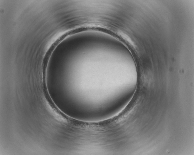 X0000088600934200705251210