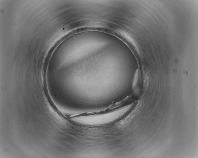 X0000088600935200705251210