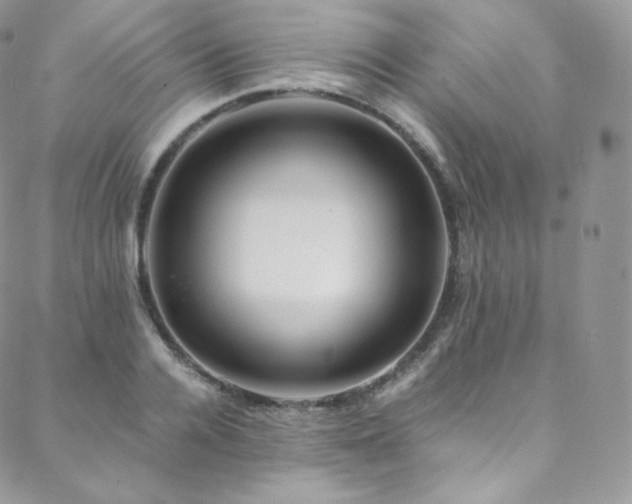 X0000088600936200705251210