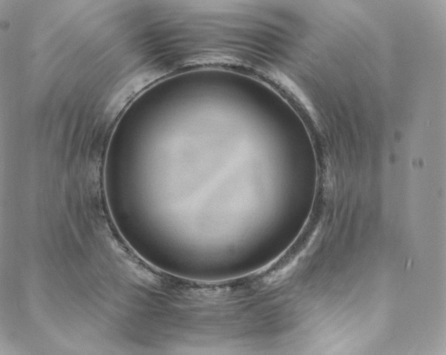 X0000088600937200705251210