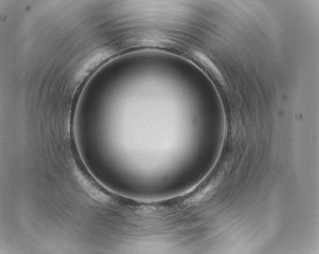 X0000088600938200705251210