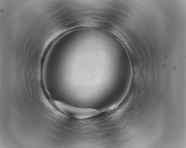 X0000088600939200705251210