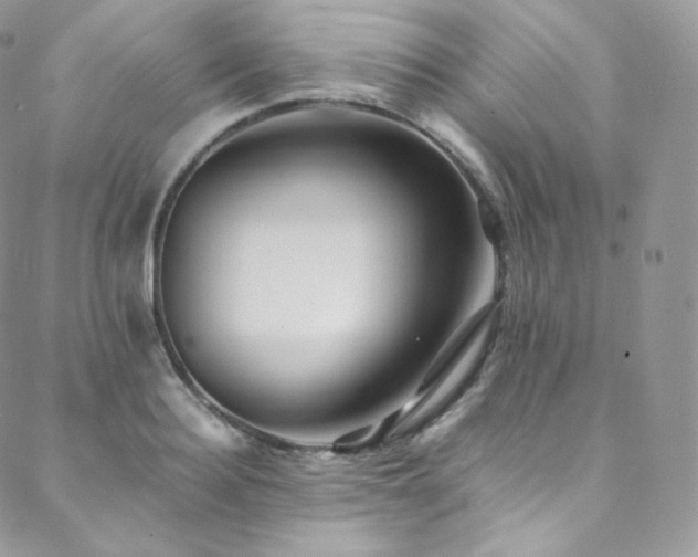 X0000088600940200705251210