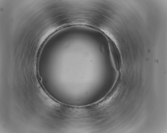 X0000088600941200705251210