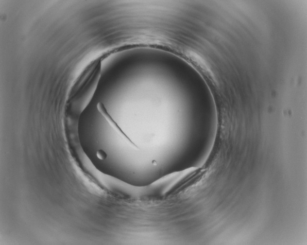 X0000088600942200705251210