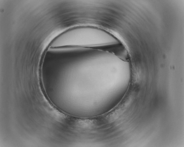 X0000088600943200705251211