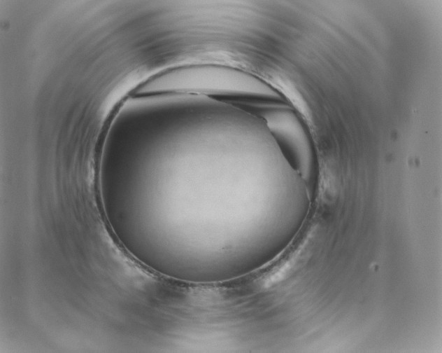 X0000088600944200705251211