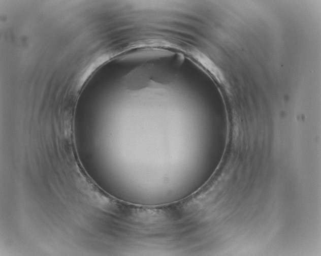 X0000088600945200705251211