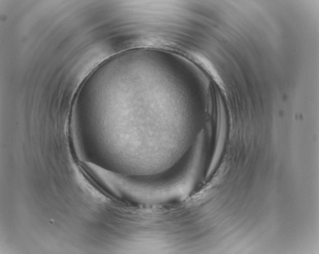 X0000088600946200705251211