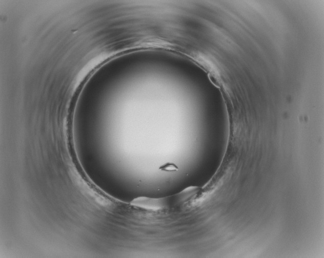 X0000088600947200705251211