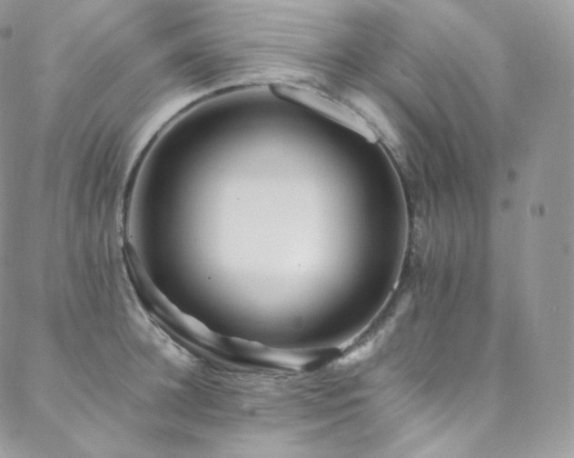 X0000088600948200705251211